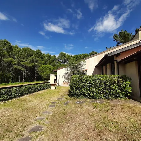 Maison Moderne Entre Foret Et Ocean, Avec Jardin Et Terrasse. Vakantiehuis