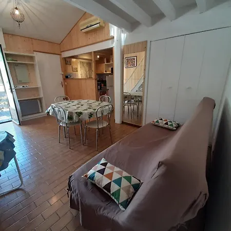 Maison Moderne Entre Foret Et Ocean, Avec Jardin Et Terrasse. - Fr-1-239-425 * Сеньос