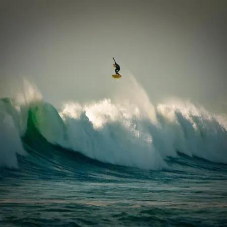 Tatil Evi Maison Moderne Entre Foret Et Ocean, Avec Jardin Et Terrasse. - Fr-1-239-425