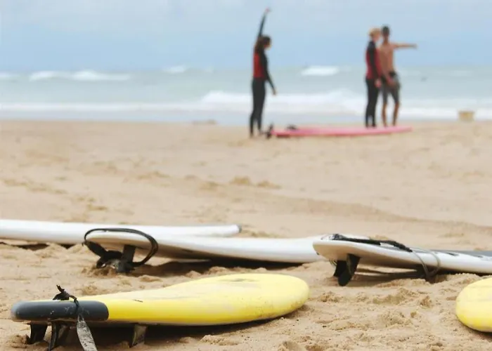 Maison Moderne Entre Foret Et Ocean, Avec Jardin Et Terrasse. - Fr-1-239-425 Seignosse